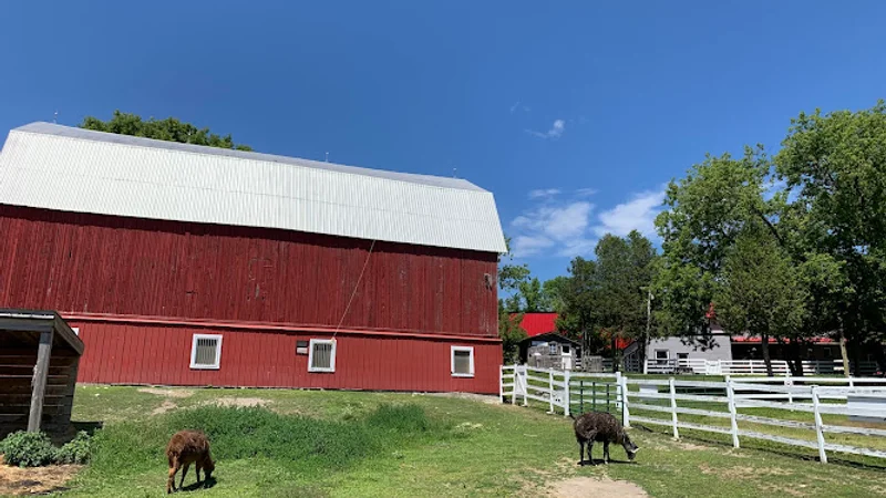 Captiva Ranch Horseback Riding