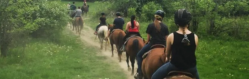 Captiva Ranch Horseback Riding - 4
