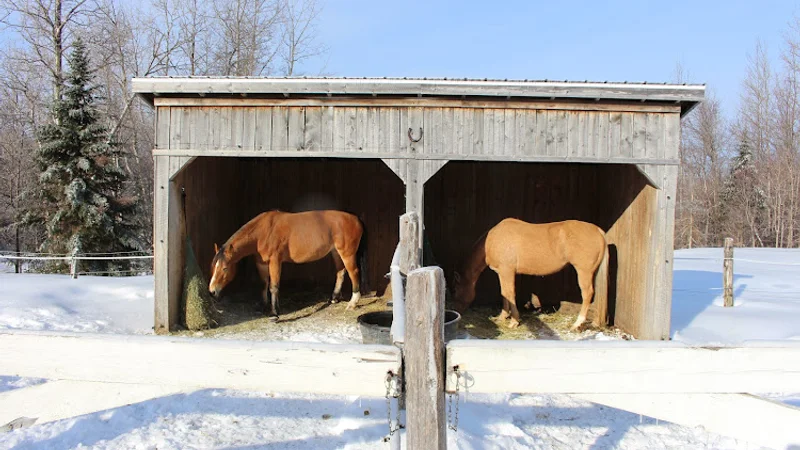 Écurie Au Chêne Rouge à Québec City, Quebec