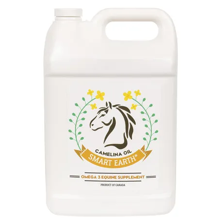 Greenhawk Equestrian Sport - Grande Prairie — Grande Prairie (1)