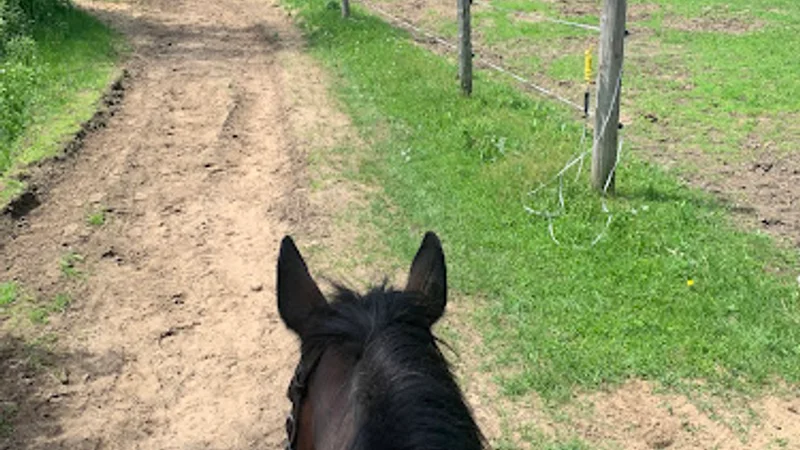 Greystone Equine à Rigaud, Quebec