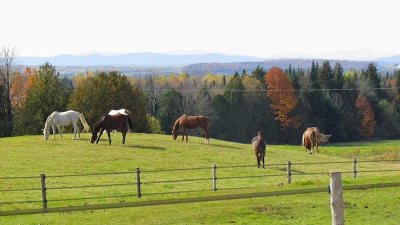 Horsemanship Equestrian Facility — Cookshire-Eaton, Cantons de l'Est