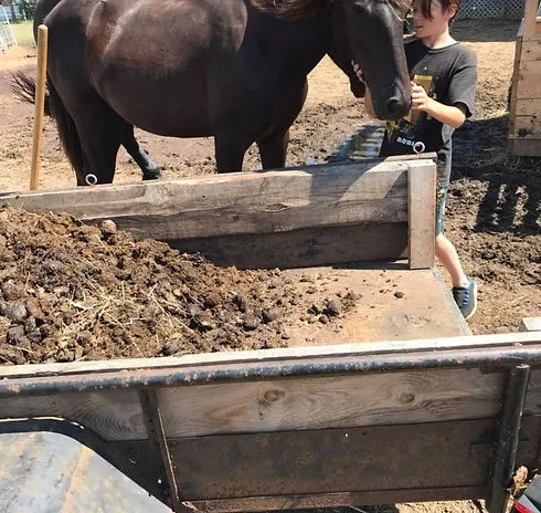 Les Écuries Carnajean - 2