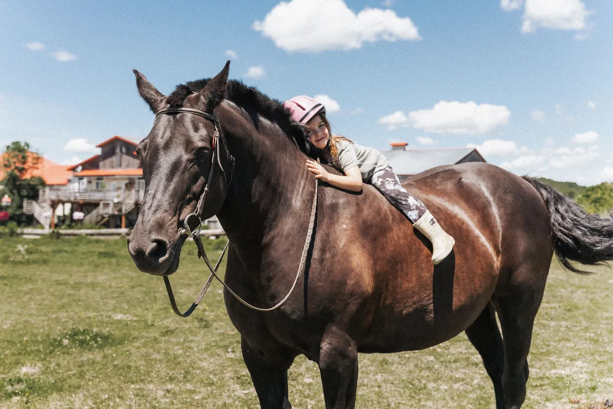 Les Ecuries Knight Stables - 2