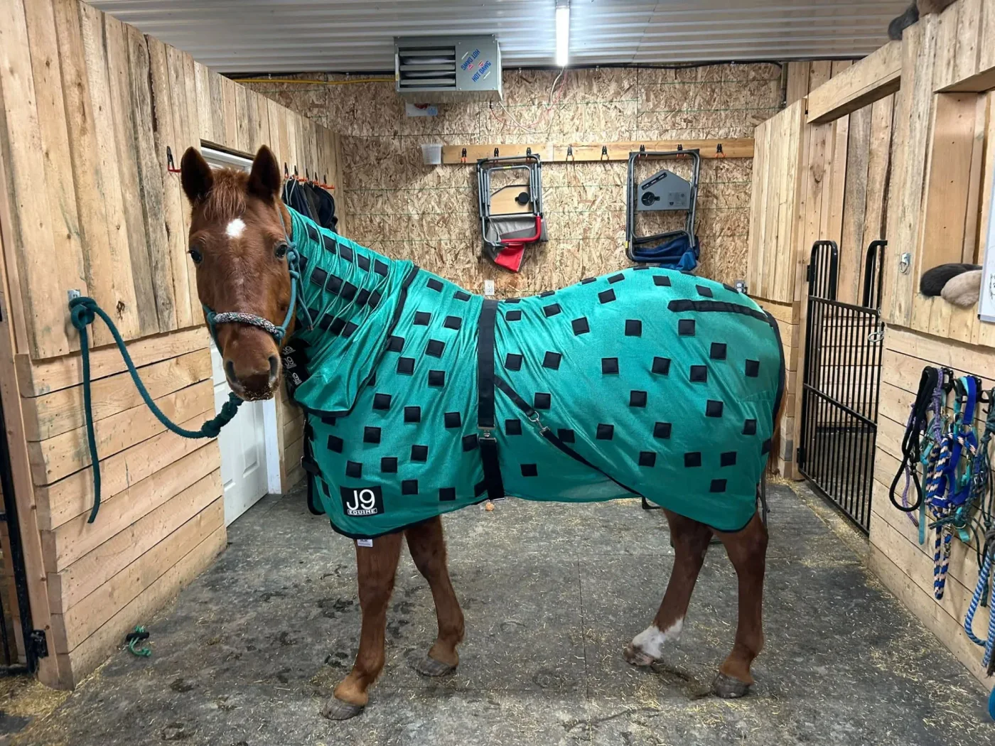 Rivers Edge Stables — Furdale (1)