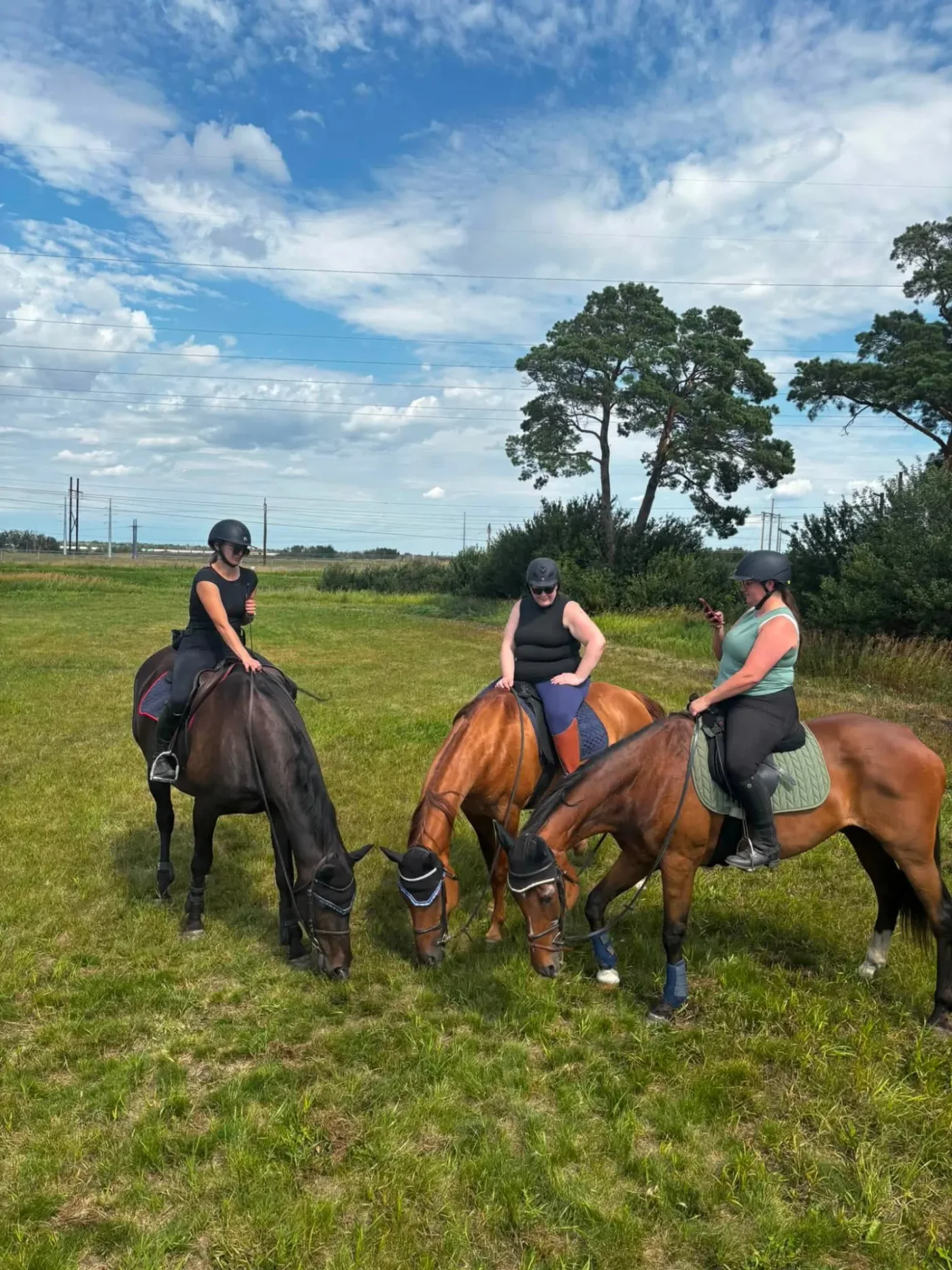 Rivers Edge Stables — Furdale (3)