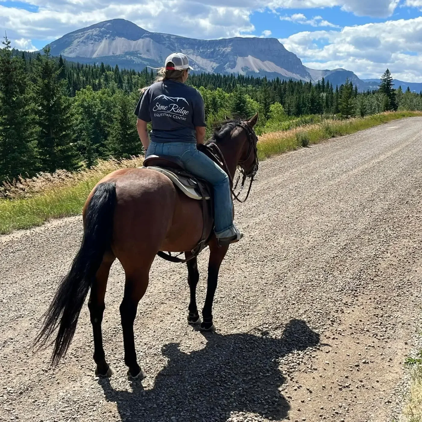 Stone Ridge Equestrian Centre Ltd. — Lethbridge County (3)